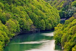 Photographie du Rhône traversant les forêts autour du Rhône en Haute Savoie