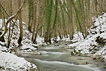 Photo de la rivire du Fornant entoure par la neige pendant l'hiver 2012