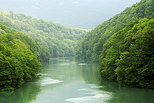Image of springtime on Rhone river surrounded by green forests