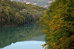 Photographie du Rhône bordé de forêt au crépuscule en automne
