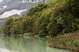 Photographie de roseaux et de forêts sur les berges du Rhône sous la montagne du Vuache