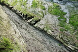 Image d'une falaise de molasse au dessus de la rivire du Fornant