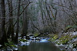 Image of the last winter day along Fornant river