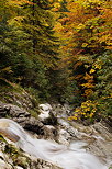 Photographie de l'automne en bas de la cascade de la Diomaz