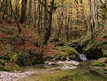 Photo of autumn around Abime stream in Jura mountains