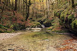 Image des couleurs d'automne dans les Gorges de l'Abîme à Saint Claude dans le Jura