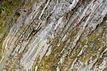 Photographie de strates rocheuses sur les berges de la rivière du Chéran