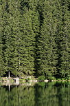 Image of the mountain forest on the banks of Benit lake