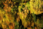 Photo d'une forêt d'automne se reflétant à la surface du lac de Montriond en Haute Savoie