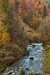 Image de la forêt d'automne autour de la rivière du Flumen