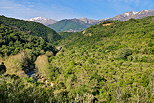 Photograph of a landscape in North Corsica with mountains and forest
